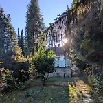 Gesztenyes Backpackers *