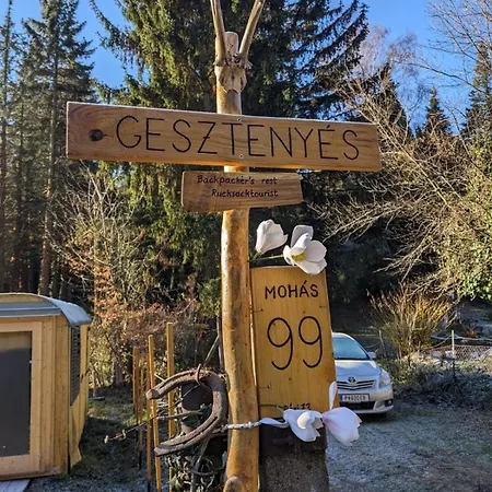 Lejlighed Gesztenyes Backpackers *